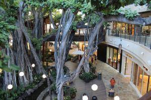 A Jewel above the Marina - Sleeps 4 w/ Full Kitchen Hotel, Honolulu
