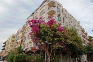 Golden Rose Hotel, Hurghada