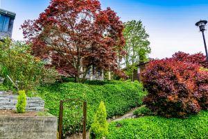 Modern Queen Anne studio - full kitchen - one block to Kerry Park, near downtown, Seattle