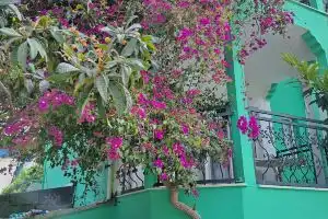 MİRAMONTE Apart Hotel, Icmeler