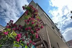 Asine Hotel, Dilijan