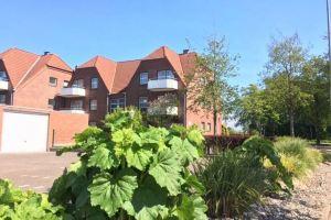 Beachfront 2-room apartment "Ruhekajüte" in Büsum, Busum
