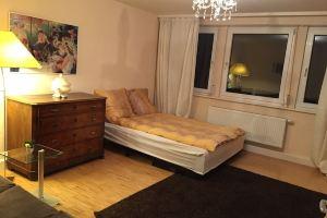 Luxury, central, quiet 107sqm apartment, Freiburg