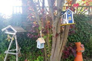 Appartment Daji Apartments, Luneburg