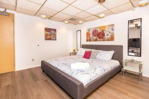 Newly-Renovated - Modern Studio Apartment with King Bed Near Downtown, Ottawa