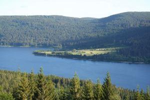 Fewo Luchsauge im Ferienresort mit Pool, Schluchsee