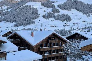 Apart Hotel Adelboden am Dorfplatz, Adelboden