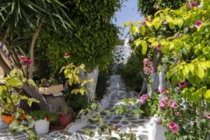 Ricos Two Bedroom House - Paros, Naousa