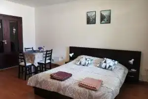 Sunny Studio Apartment - Few Steps from Gondola, Bansko