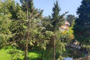 Relax City Apparment Hotel, Kehl