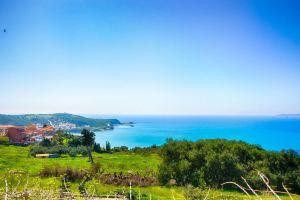 Joanna Studios, Sidari