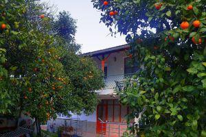 Cirali Irmak Hotel, Cirali