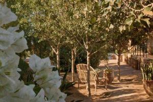 Villa Haut Standing Avec Piscine Chauffée,12 Pers. Essouira