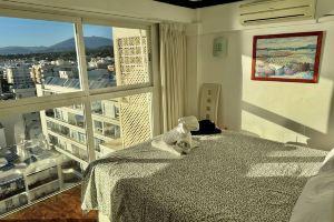 Skol Apartments, Marbella