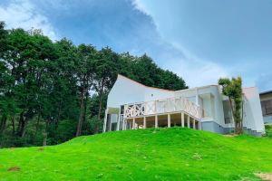 Sunlit Villa Izu -Starry Sunny Forest Inn- - Vacation Stay 68296V, Ito