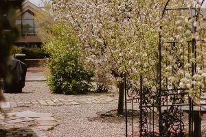 Charming Downtown Historic Yellow House - Route 66 Retreat & Grand Canyon Nearby, Williams