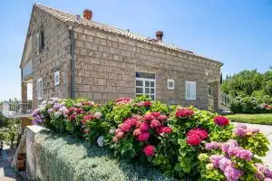 Apartments Amalija, Cilipi