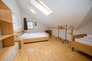 Apartment 3-Room-Maisonette Near Ski Lift and Town, Zell am See