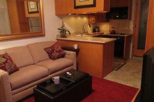 Beautiful Efficiency: full size kitchen, pet & 420 friendly, walk to everything Hotel, Bellingham