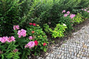 Apartment on the Elbe Ferry - Apartment for 2 - 3 People, Dresden