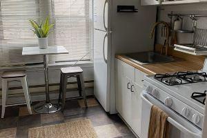 Boutique Designer Flat in Lincoln Park Mini-hotel, Chicago