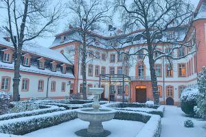 Osteiner Hof by the Apartment Suite, Mainz