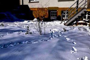 Löwenherz 2 - Feeling good between the castle and the French Gorge Hotel, Bad Bentheim