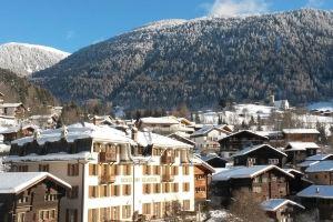 ABC Ferienwohnung 1 1. OG Süd Apartments, Fiesch