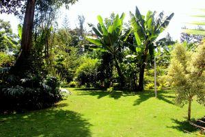 Green Dreams Home Apartments, Nkoanrua