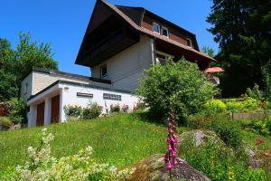 Blackforestbirdnest Hotel, Schonach