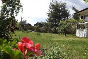 Pefka Studios & Apartments, Vourvourou