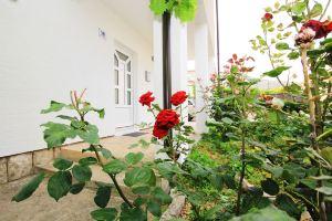 Apartment Anica, Trogir