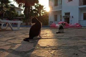 Işıl Suit Apart, Dalyan