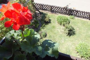 Apartment in the pearl of the Uckermark, Templin