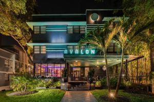Avalon Hotel Downtown, Saint Petersburg