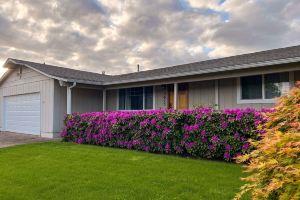 Outdoor Living and Indoor Bar - Entire house - walk to Autzen Stadium, Eugene