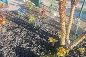 The Secret Garden Games Getaway 4 bedroom home, Orlando