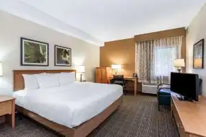 La Quinta Inn & Suites by Wyndham Orlando South, Orlando