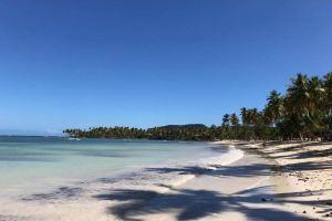 Great Palm View - Apartment 3 in Villa Coconut, Samana