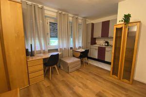 Business & Travel Apartment walking distance to city center, Frankfurt am Main
