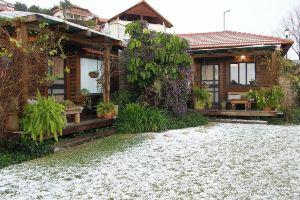 Miki's B&B Mini-hotel, Rosh Pinna