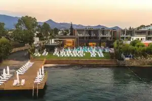 Bodrum Olive Tree Apart, Guendogan