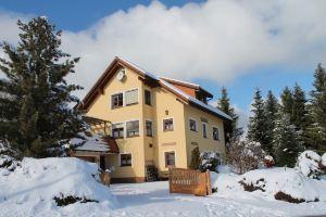 Fantastic comfortable u. cozy apartment in the heart of the Black Forest, Feldberg
