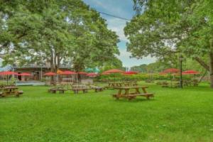 Ruschmeyers #19 - Dlx King Hotel, Montauk