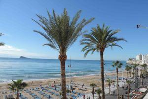 1 Sand, Sea, Sun, Relaxation and Spanish Cuisine Hotel, Benidorm