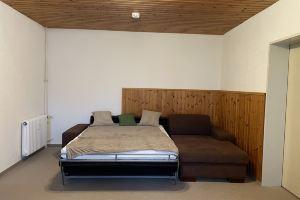 Fewo Berg-domizil mt Eigenem Kellerraum für Fahrräder Oder Skier Hotel, Bad Harzburg