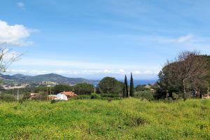 Gelsi (CLV244) Hotel, Capoliveri