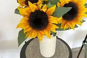 Konvoj Szálló, Budapest