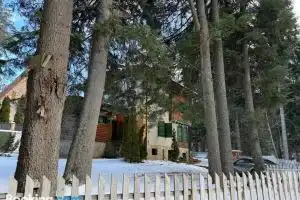 Villa Adis with Hot Pool & Jacuzzi by Bookvillabg