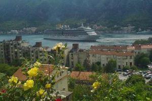 Apartment Aki, Kotor